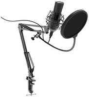 Микрофон Ritmix RDM-180 черный