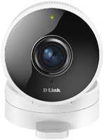Камера видеонаблюдения D-Link DCS-8100LH/A1A