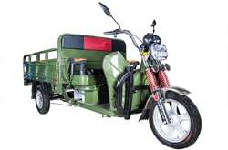 Eltreco Грузовой электрический трицикл Rutrike Алтай 2000 60V1500W 2019 (Цвет: зеленый) (%D0%A3%D0%A2-00128611)